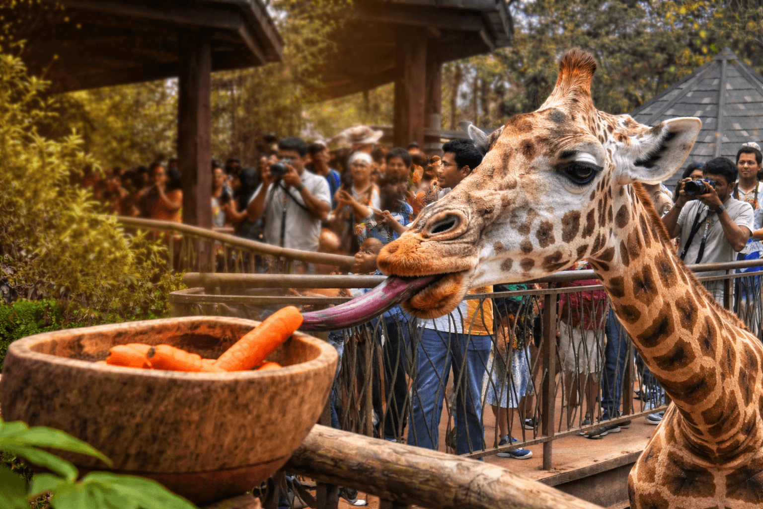 Cover image for: African Tourism Has a $50 Billion Blind Spot