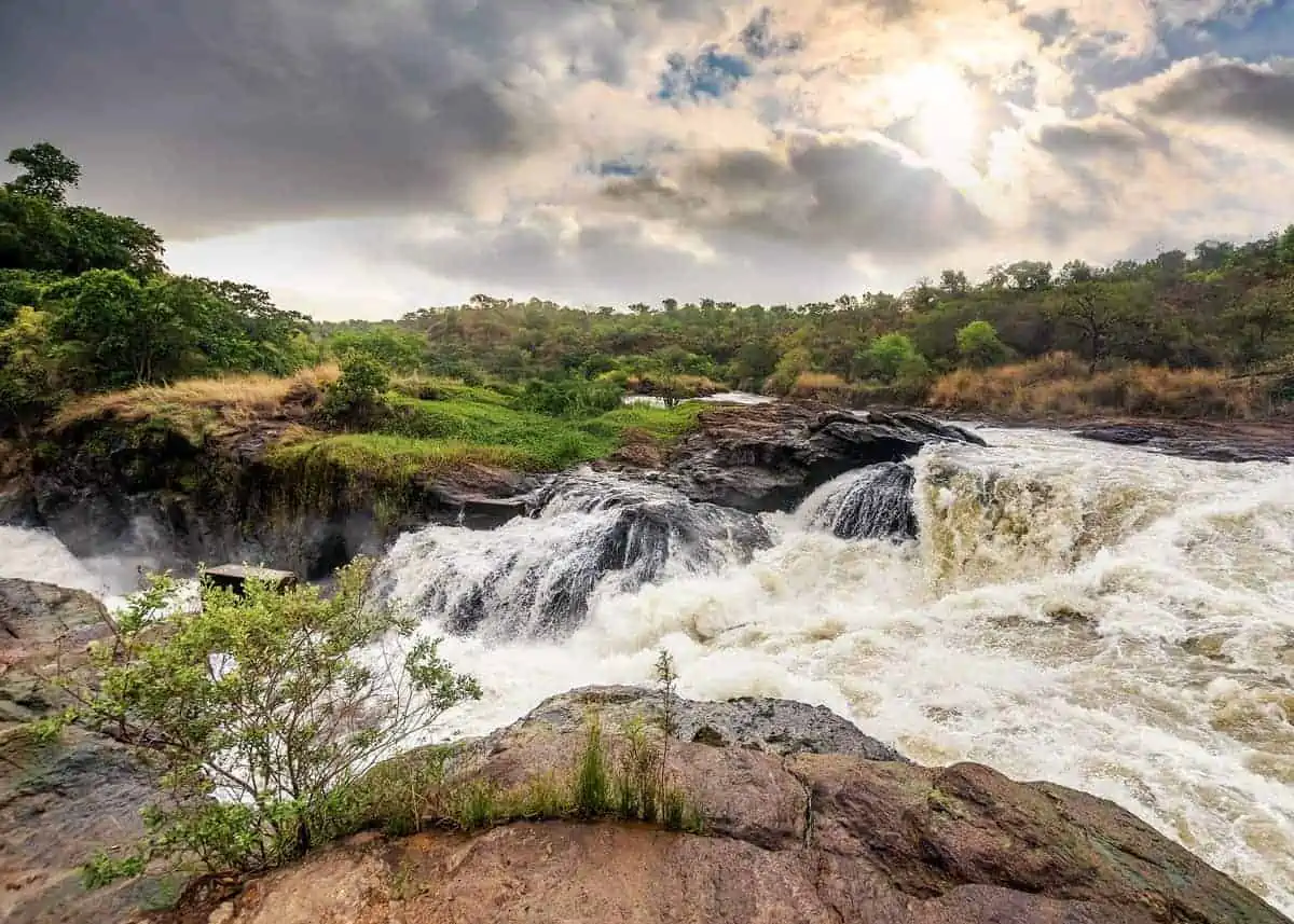 Cover image for: Guide to Murchison Falls Uganda: 16 Things You Need to Know.