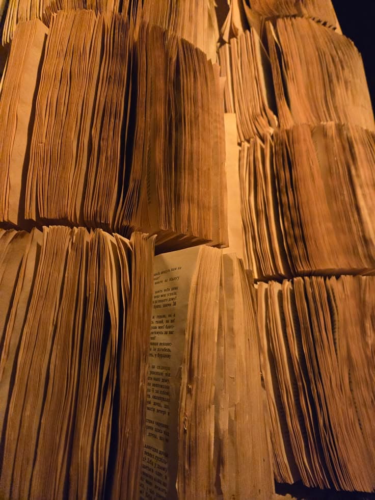 Cover image for: Project Panama: The AI Industry's Quiet War on Physical Books